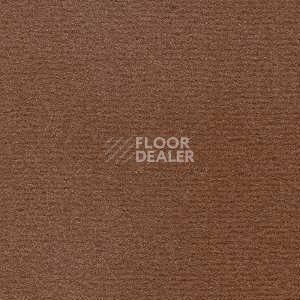 Ковролин Radici Nexus Tabacco 2430 фото 1 | FLOORDEALER